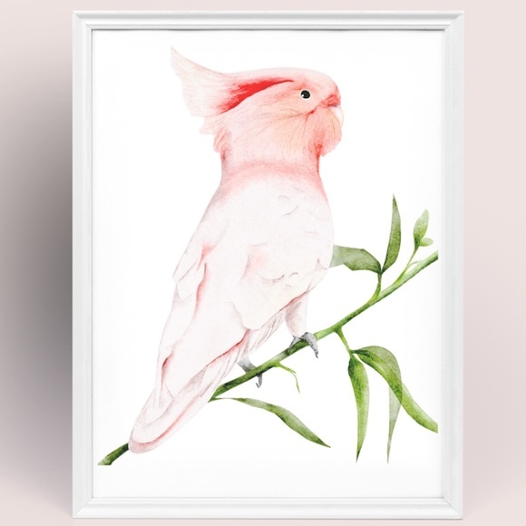 Wall Art Major Michell's Cockatoo Print Unframed - Picture 4 of 6